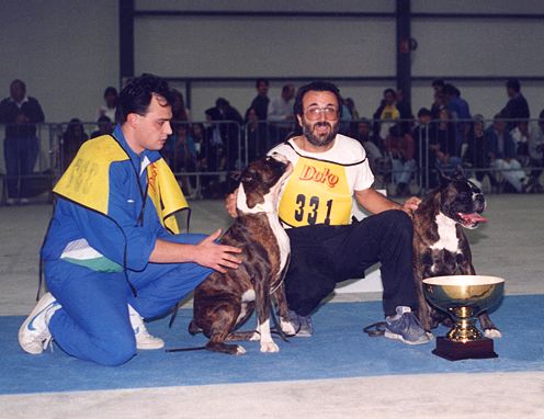 Alessandro TANONI con Ch. Fratz del Colle dell'Infinito (alla Vs. Sx) e Ch. Olimpio del Colle dell'Infinito