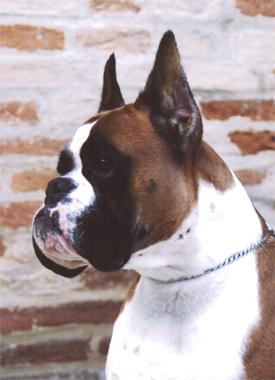 Victor del Colle dell'Infinito