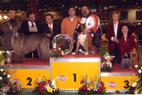 Alessandro TANONI con Ch. Fred del Colle dell'Infinito, BEST IN SHOW Internazionale di Ancona 22-23/02/2003