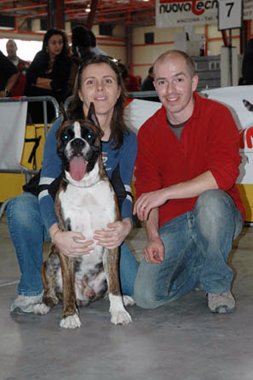 Ch. Ego de Joanxichcan - CAC + CACIB + BOB