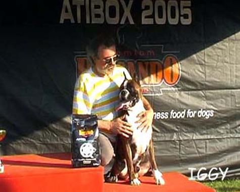 ATIBox 2005 - Zapreić-Hrvatska (Croazia) - 28-29.05.2005