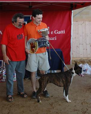 Boxer Match - Perugia - 04-07-2004